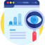 Vulnerability Detection